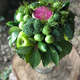 Image for article titled Edible bouquets for hipster foodies are here and god they look awful